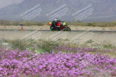 media/Feb-04-2023-SoCal Trackdays (Sat) [[8a776bf2c3]]/Turn 15 Inside Blooming (1050am)/